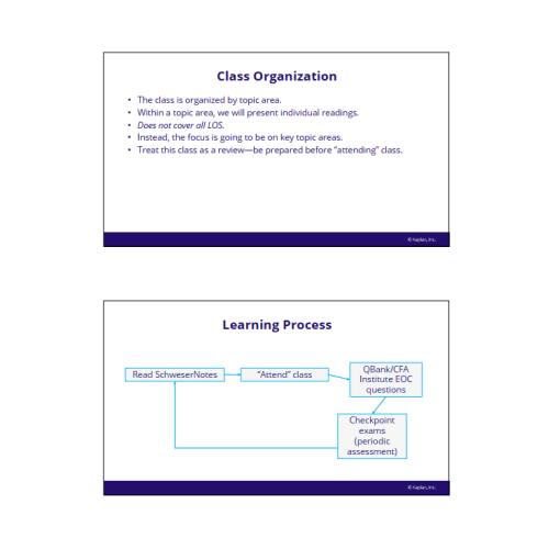 cfa-2026-level-2-schweser-masterclass-videos-with-workbook 2 1332533084
